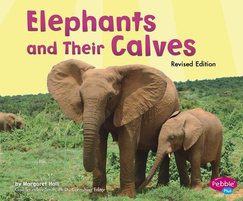 Elephants and Their Calves