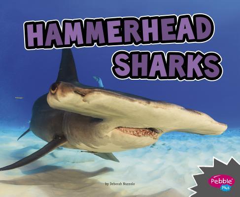 Hammerhead Sharks