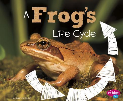 A Frog's Life Cycle