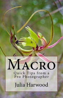 Macro Subscription