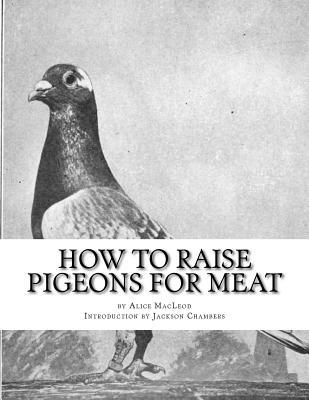 How To Raise Pigeons For Meat: Raising Pigeons for Squabs Book 10