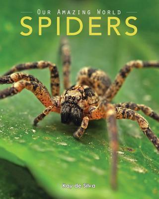 Spiders: Amazing Pictures & Fun Facts on Animals in Nature