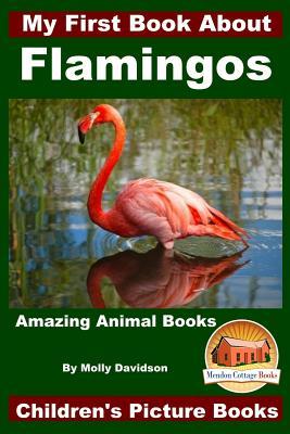 My First Book About Flamingos - Amazing Animal Books - Children's Picture Books