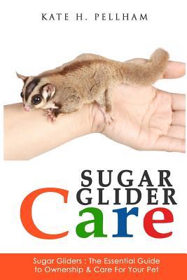 Sugar Gliders: The Essential Guide to Ownership & Care for Your Pet