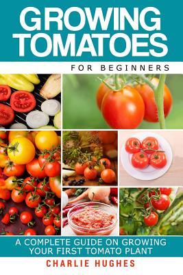 Growing Tomatoes for Beginners: A Complete Guide on Growing Your First Tomato Plant