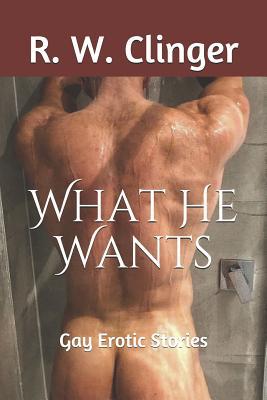 What He Wants: Gay Erotic Stories