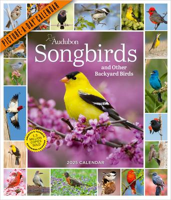 Audubon Songbirds and Other Backyard Birds Picture-A-Day(r) Wall Calendar 2025