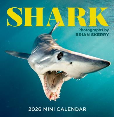 Shark Mini Wall Calendar 2026 Subscription