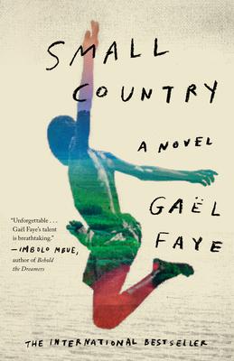 Small Country: Small Country: A Novel