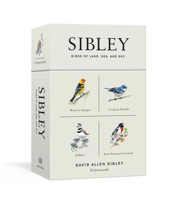 Sibley Birds of Land, Sea, and Sky: 50 Postcards Subscription