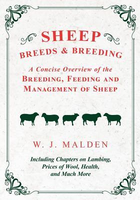 Sheep Breeds and Breeding - A Concise Overview of the Breeding, Feeding and Management of Sheep, Including Chapters on Lambing, Prices of Wool, Health