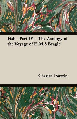 Fish - Part IV - The Zoology of the Voyage of H.M.S Beagle; Under the Command of Captain Fitzroy - During the Years 1832 to 1836