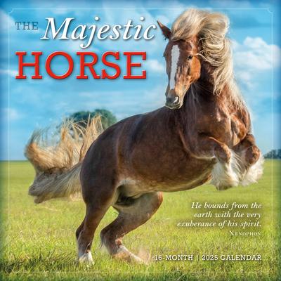 2025 Majestic Horse Wall Calendar