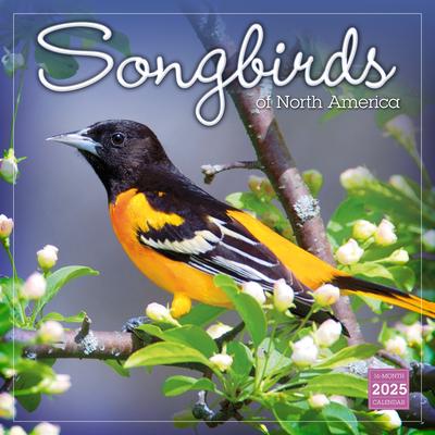 2025 Songbirds of North America Wall Calendar