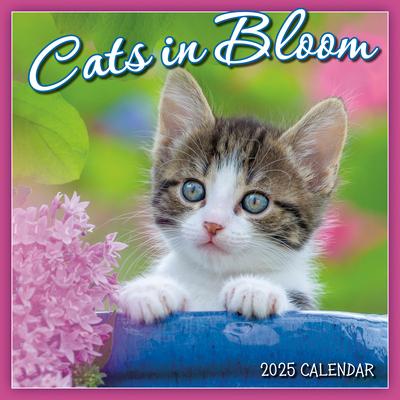 2025 Cats in Bloom Mini Calendar