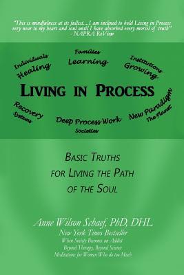 Living in Process: Basic Truths for Living the Path of the Soul