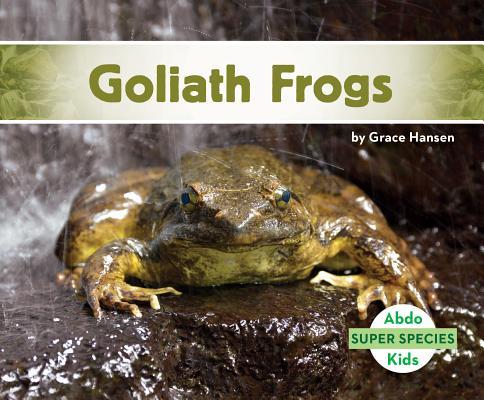 Goliath Frogs Subscription
