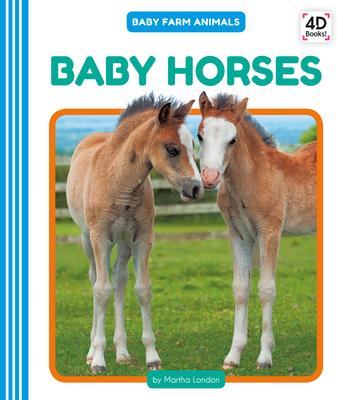 Baby Horses