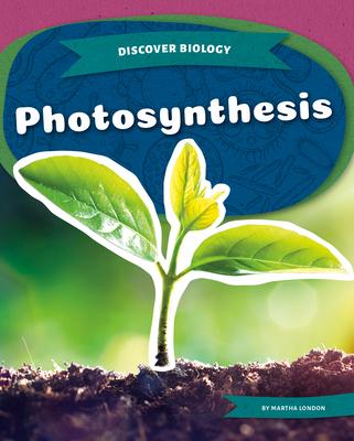 Photosynthesis