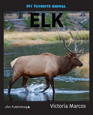 My Favorite Animal: Elk