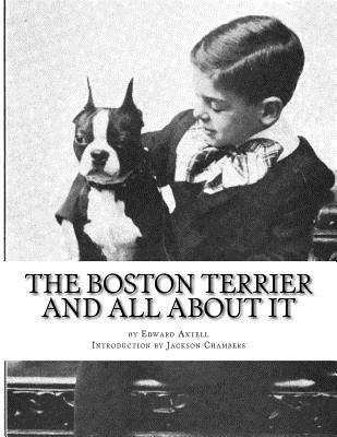 The Boston Terrier and All About It