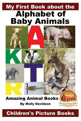 My First Book about the Alphabet of Baby Animals - Amazing Animal Books - Children's Picture Books Subscription