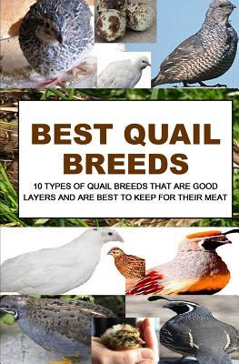 Best Quail Breeds: 10 Types Of Quail Breeds That Are Good Layers And Are Best To Keep For Their Meat