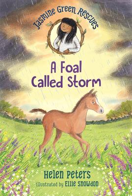 Jasmine Green Rescues: A Foal Called Storm Subscription