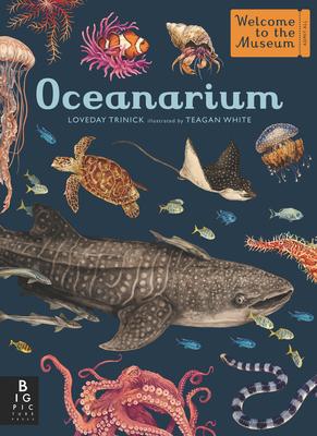 Oceanarium: Welcome to the Museum