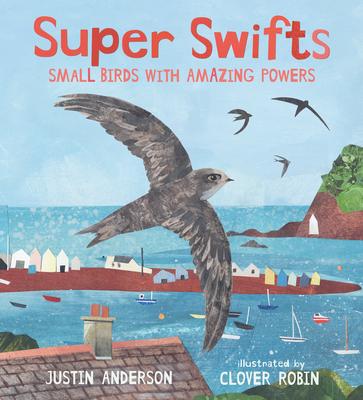 Super Swifts: Small Birds with Amazing Powers