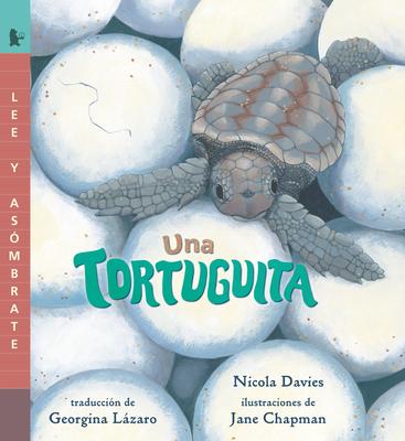 Una Tortuguita: Read and Wonder