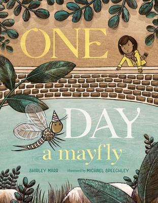 One Day a Mayfly Subscription