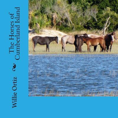 The Horses of Cumberland Island