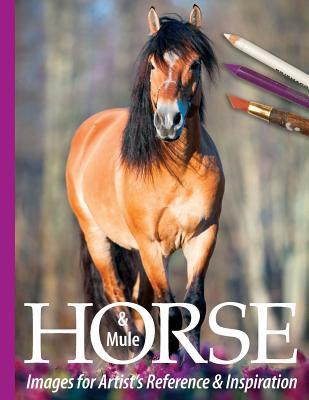 Horse and Mule Images for Artist's Reference and Inspiration