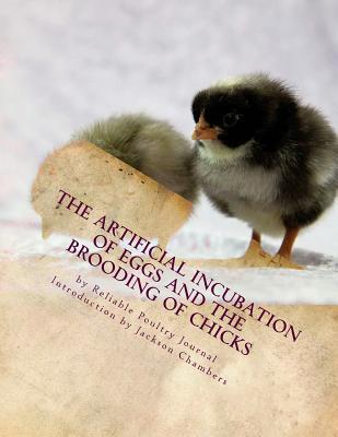 The Artificial Incubation of Eggs and the Brooding of Chicks