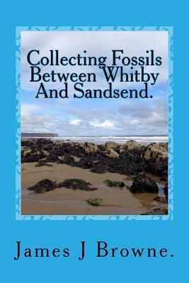 Collecting Fossils Between Whitby And Sandsend.: A Beginner's Guide.