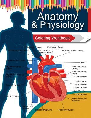 Anatomy & Physiology Coloring WorkBook Books