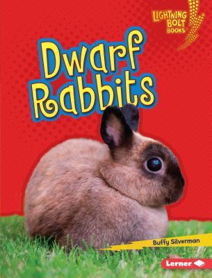 Dwarf Rabbits