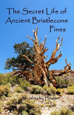 The Secret Life of Ancient Bristlecone Pines: Book One of the Secret Life Series