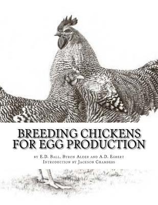 Breeding Chickens For Egg Production