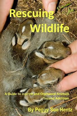 Rescueing Wildlife: A Guide to Helping Injured & Orphaned Animals