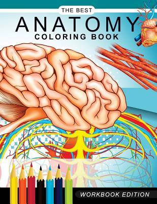 Anatomy coloring book: Muscles and Physiology Workbook Edition