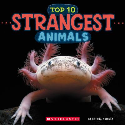 Strangest Animals (Wild World: Top 10) Subscription