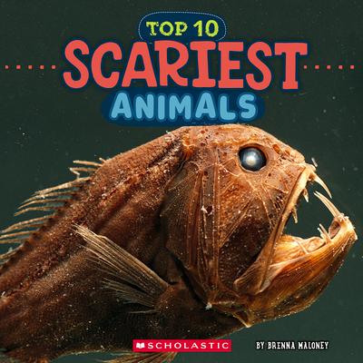 Scariest Animals (Wild World: Top 10)