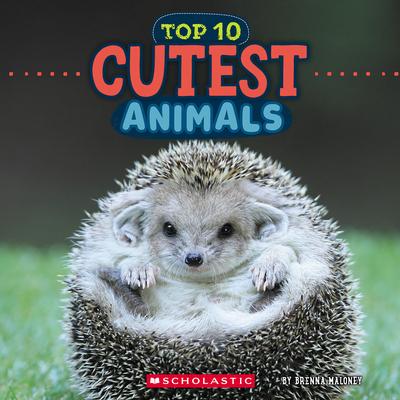 Cutest Animals (Wild World: Top 10) Subscription