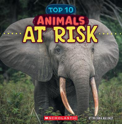 Animals at Risk (Wild World: Top 10) Subscription