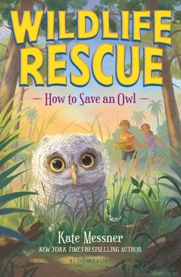 How to Save an Owl Subscription