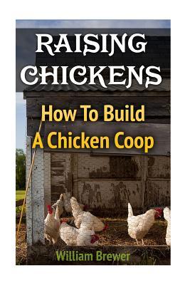 Raising Chickens: How To Build A Chicken Coop