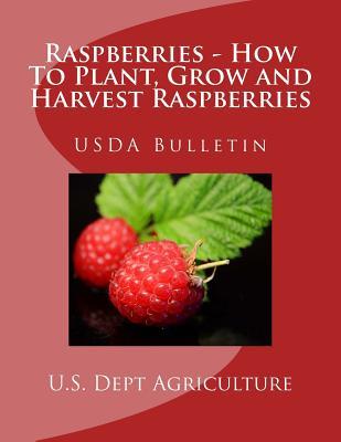 Raspberries - How To Plant, Grow and Harvest Raspberries: USDA Bulletin