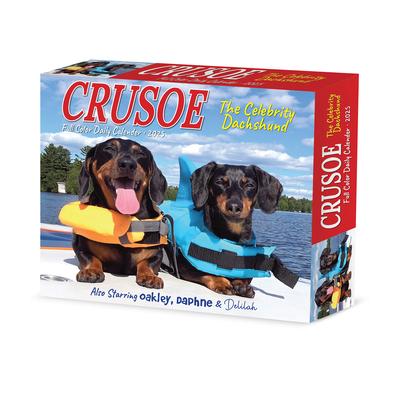 Crusoe the Celebrity Dachshund 2025 6.2 X 5.4 Box Calendar